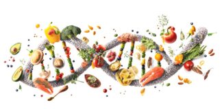 Epigenetica e nutrizione: intervista a Pier Luigi Rossi Epigenetica e nutrizione
