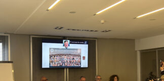 Carenza di vitamina D, a Verona il congresso nazionale vitamina D Verona studio carenza e inquinamento