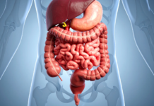 IBS e disturbi del sonno: il contributo dell’asse microbiota-intestino-cervello asse microbiota intestino cervello