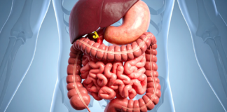IBS e disturbi del sonno: il contributo dell’asse microbiota-intestino-cervello asse microbiota intestino cervello