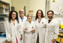 Oli essenziali e attività antibatterica: dal Gemelli il primo protocollo standardizzato per misurare la MIC protocollo standardizzato oli essenziali MIC