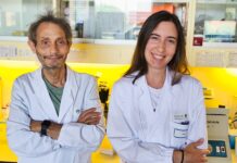 Tumore del colon-retto: il ruolo di microbiota e genetica nella progressione microbiota tumore del colon-retto