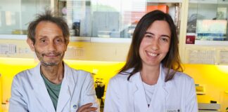 Tumore del colon-retto: il ruolo di microbiota e genetica nella progressione microbiota tumore del colon-retto