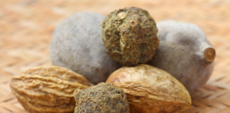 Triphala: proprietà, benefici e potenziali applicazioni cliniche Triphala proprietà e benefici