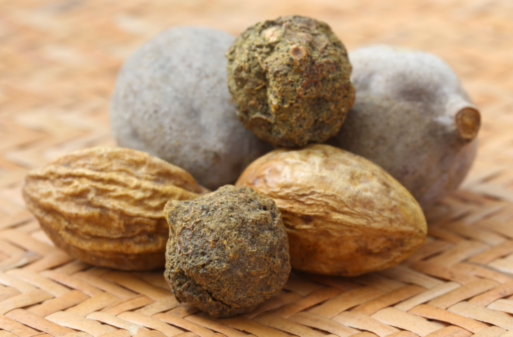 Triphala: proprietà, benefici e potenziali applicazioni cliniche Triphala proprietà e benefici