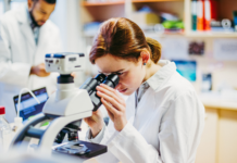Cellule natural killer: custodi della longevità in salute Cellule natural killer e longevità
