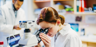 Cellule natural killer: custodi della longevità in salute Cellule natural killer e longevità