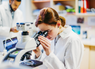 Cellule natural killer: custodi della longevità in salute Cellule natural killer e longevità