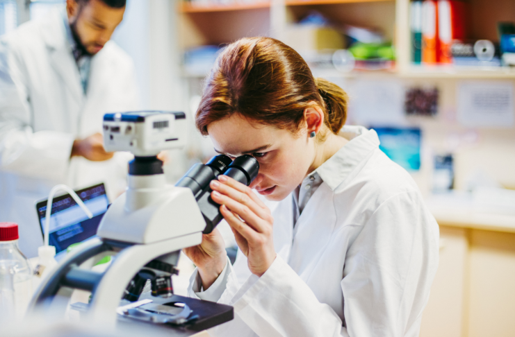 Cellule natural killer: custodi della longevità in salute Cellule natural killer e longevità