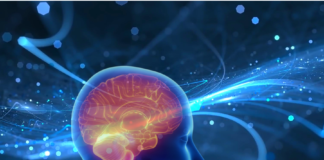 Invecchiamento cerebrale: il ruolo delle microglia tra 50 e 75 anni
