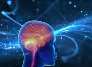 Invecchiamento cerebrale: il ruolo delle microglia tra 50 e 75 anni