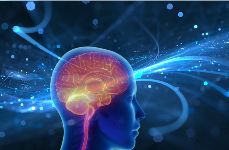 Invecchiamento cerebrale: il ruolo delle microglia tra 50 e 75 anni