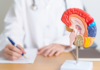 Giornata Mondiale del Cervello: prevenzione e brainspan per un invecchiamento in salute salute del cervello e longevità