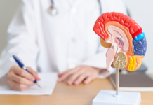 Giornata Mondiale del Cervello: prevenzione e brainspan per un invecchiamento in salute salute del cervello e longevità