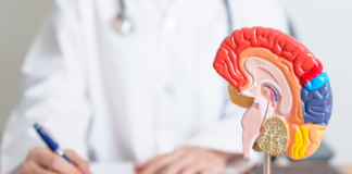 Giornata Mondiale del Cervello: prevenzione e brainspan per un invecchiamento in salute salute del cervello e longevità