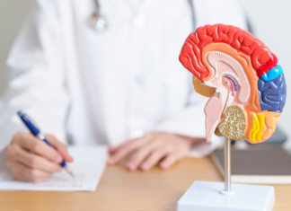 Giornata Mondiale del Cervello: prevenzione e brainspan per un invecchiamento in salute salute del cervello e longevità