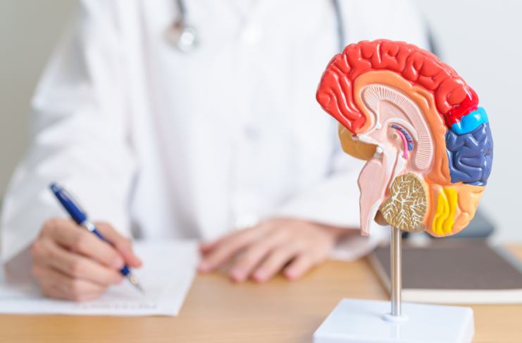 Giornata Mondiale del Cervello: prevenzione e brainspan per un invecchiamento in salute salute del cervello e longevità