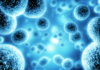 Inflammaging e invecchiamento: il ruolo dello stress ossidativo e dei mitocondri inflammaging e invecchiamento