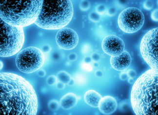 Inflammaging e invecchiamento: il ruolo dello stress ossidativo e dei mitocondri inflammaging e invecchiamento