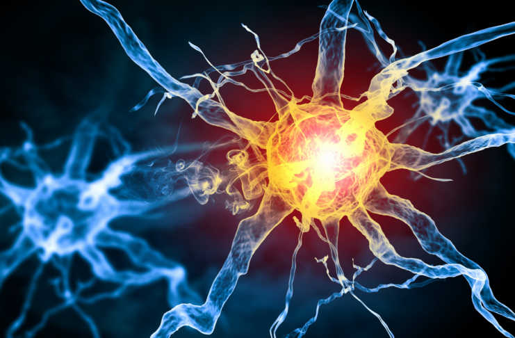 Dolore neuropatico: nel locus coeruleus un possibile freno cerebrale dolore neuropatico locus coeruleus