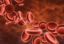 Polifenoli e microcircolo: fitoterapia per la salute vascolare Polifenoli e microcircolo