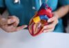 Giornata Mondiale del Cuore: dalla prevenzione alla ricerca sulla longevità cardiovascolare longevità cardiovascolare