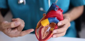 Giornata Mondiale del Cuore: dalla prevenzione alla ricerca sulla longevità cardiovascolare longevità cardiovascolare