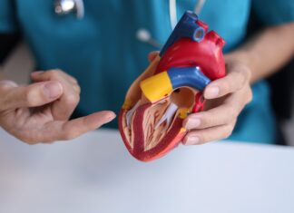 Giornata Mondiale del Cuore: dalla prevenzione alla ricerca sulla longevità cardiovascolare longevità cardiovascolare