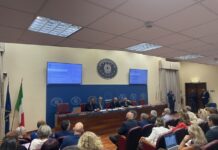 Demenze e Alzheimer: verso il nuovo Piano Nazionale tra diagnosi precoce, risorse in manovra e sfide territoriali Piano nazionale demenze