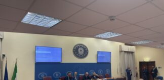 Demenze e Alzheimer: verso il nuovo Piano Nazionale tra diagnosi precoce, risorse in manovra e sfide territoriali Piano nazionale demenze