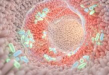 Microbiota e longevità Microbiota e longevità