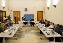 Dati sanitari: dagli IRCCS alla programmazione del SSN dati sanitari per la ricerca negli IRCCS