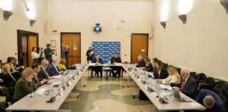 Dati sanitari: dagli IRCCS alla programmazione del SSN dati sanitari per la ricerca negli IRCCS
