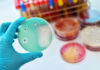 Antibiotico-resistenza in Italia: dati AR-ISS, diagnosi e terapie sul territorio antibiotico-resistenza in Italia
