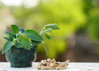 Ashwagandha contro lo stress Integrazione Ashwagandha stress