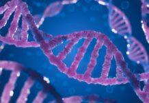 La metilazione del DNA metilazione dna