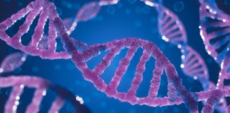 La metilazione del DNA metilazione dna