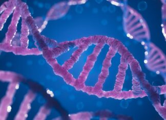 La metilazione del DNA metilazione dna