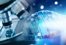 Nobel per la Medicina 2026 all’optogenetica: come la luce controlla i circuiti neurali