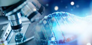 Nobel per la Medicina 2026 all’optogenetica: come la luce controlla i circuiti neurali