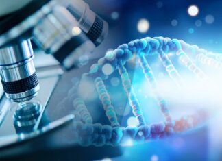 Nobel per la Medicina 2026 all’optogenetica: come la luce controlla i circuiti neurali