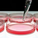medical research