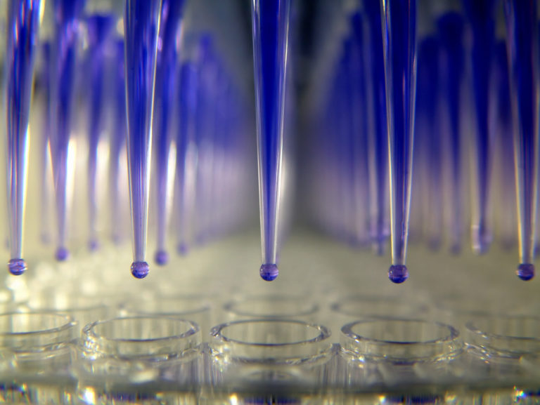 Approaches to reduce animal use in genotoxicity test