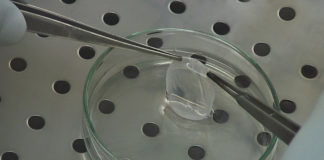 Italy leader in the regenerative medicine field with Holoclar