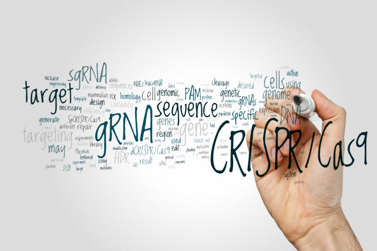 The gene editing revolution