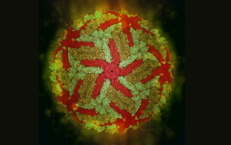 Cryo-EM: a scientific revolution is ongoing