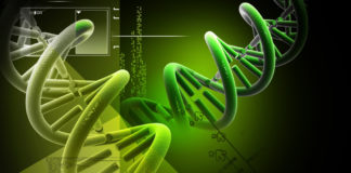 An agreement to test new first-in-class antimicrobial peptides