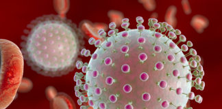 Pierluigi Petrone: the first European in the Global Virus Network Board