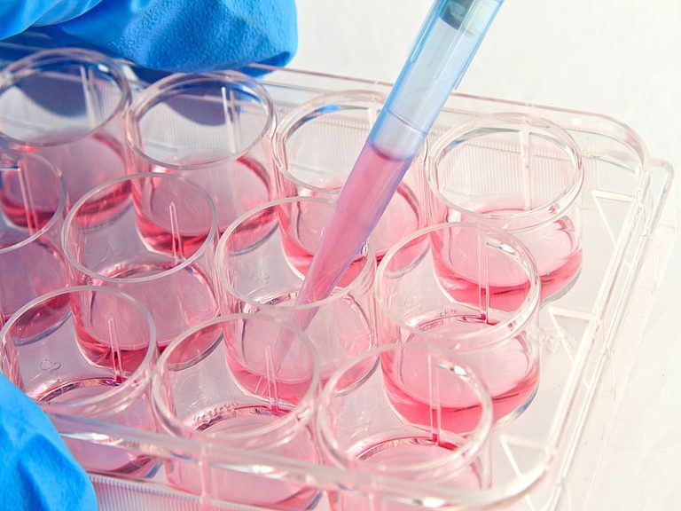 Regulatory challenges of CAR-T cell therapies