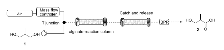 BIOCATALYZED CONTINUOUS-FLOW PROCESSES IN THE SYNTHESIS OF API